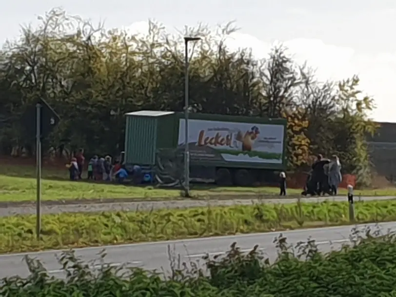 Eier, Freilandeier, Eierautomat, Automat, 24/7 in Ober-Wöllstadt